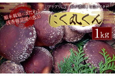特選原木栽培生しいたけ 「にく丸くん」大サイズ 1kg 【2025年10月下旬～2026年2月上旬発送予定】椎茸 シイタケ しいたけ 生しいたけ 生椎茸 きのこ キノコ 肉厚 原木栽培