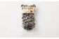 【訳あり】天日乾燥きくらげ「小葉（豆）」50g×7パック 合計350g