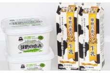 球磨の恵み 「A2牛乳とヨーグルト（無糖）」のセット 牛乳1000ml×2パック ヨーグルト1kg×2パック ／ 生乳 牛乳 ミルク ヨーグルト 乳製品 飲料 飲み物 飲みもの のみもの ドリンク おやつ デザート 国産