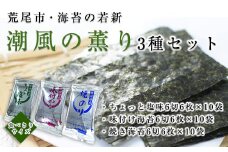 荒尾市・海苔の若新 潮風の薫り 3種セット(ちょっと塩味・味付け海苔・焼き海苔) 《30日以内に出荷予定(土日祝除く)》有明海産