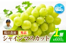 【秀品】先行予約 シャインマスカット 鶴田農園 約600g (1房) 熊本県荒尾市産《8月下旬-9月下旬頃出荷》熊本県 荒尾市 フルーツ 果物 送料無料 葡萄 ぶどう マスカット