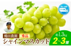 【秀品】先行予約 シャインマスカット 鶴田農園 約1.3kg (2～3房) 熊本県荒尾市産《8月下旬-9月下旬頃出荷》熊本県 荒尾市 フルーツ 果物 送料無料 葡萄 ぶどう マスカット