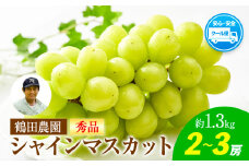 【秀品】先行予約 シャインマスカット 鶴田農園 約1.3kg (2～3房) 熊本県荒尾市産《8月下旬-9月下旬頃出荷》熊本県 荒尾市 フルーツ 果物 送料無料 葡萄 ぶどう マスカット