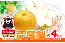 【 2025年 先行予約 】 梨 荒尾梨 和梨 約4kg なし フルーツ 果物 新鮮《2025年8月下旬‐11月中旬頃出荷》訳あり 熊本県 荒尾市産 デザート 旬の梨 幸水 豊水 あきづき 他4種 合計7種のいずれかをお届け（品種指定はできません） あたご梨