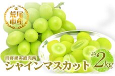 シャインマスカット 目野果実直売所のシャインマスカット 約2kg フルーツ 果物 新鮮 マスカット 《8月上旬-9月下旬頃出荷》 目野果実直売所 