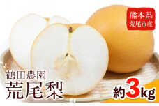【先行予約】梨 鶴田農園 梨予約 豊水 あきづき 甘太 のいずれかお届け 約3kg 6～9玉 【日付指定不可】 熊本県 荒尾市産 和梨 《8月下旬-9月下旬頃出荷》
