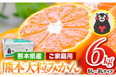 みかん 訳あり 大玉 大粒みかん 6kg 6キロ 熊本 ちょっと 訳あり 傷 5L～3Lサイズ 約6kg 《2026年1月中旬-2月末頃出荷》 大粒 みかん 大玉みかん 訳ありみかん ご家庭用みかん 熊本みかん たっぷり 熊本県産(荒尾市産含む) 熊本県 期間限定 フルーツ 6000g 旬 柑橘 ご家庭用 荒尾市 大粒 果物