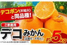 不知火 デコみかん ( デコポン と同品種 ) 不知火 ご家庭用 熊本県産 ( 荒尾市産含む ) 訳あり 約 5kg (12-24玉前後) 《2026年2月上旬-4月末頃出荷》 柑橘 みかん フルーツ 不知火 先行予約 訳あり 訳アリ でこみかん 果物