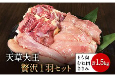 天草大王 贅沢1羽セット 約1.5kg【幻の地鶏】もも・むね・ささみ 各2枚《60日以内に出荷予定(土日祝除く)》