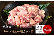 天草大王 バーベキュー用カット肉 1kg 熊本県産 【幻の地鶏】荒尾市 もも肉 むね肉《60日以内に出荷予定(土日祝除く)》