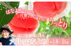 【2025年 先行予約】六月のはなよめ 約1.8～2kg 熊本県荒尾市産 桃 髙口果樹園 【日付指定不可】《2025年6月上旬-6月下旬頃出荷》六月の花嫁