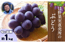 ぶどう 約 1kg 《8月上旬-9月上旬頃出荷》 旬の品種 ( 巨峰 or 藤稔 or ブラックビート or ピオーネ ) 目野果実直売所 フルーツ 果物 新鮮 