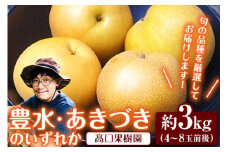 【2025年 先行予約】 旬の梨 あきづき 豊水 のいずれかをお届けします！ 荒尾梨 約3kg (4～8玉前後) 熊本県荒尾市産 髙口果樹園《2025年9月上旬-9月下旬頃出荷》フルーツ 果物