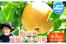 【2025年 先行予約】梨 新高 ジャンボ梨 ( 新高梨 )  約 3kg (3～6玉前後) なし 荒尾梨 にいたか フルーツ 果物 デザート 旬 熊本県荒尾市産 髙口果樹園《2025年10月上旬-10月末頃出荷》 st-p