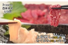 馬刺し 上赤身 ブロック 国産 熊本肥育 冷凍 生食用 たれ付き(100g×2)＋たてがみセット(50g×1) 肉 期間限定 絶品 牛肉よりヘルシー 馬肉 予約 平成27年28年 農林水産大臣賞受賞 熊本県荒尾市《30日以内に出荷予定(土日祝除く)》