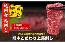 馬刺し 上赤身 ブロック 国産 熊本肥育 冷凍 生食用 たれ付き(10ml×6袋) 100g×6セット 肉 期間限定 絶品 牛肉よりヘルシー 馬肉 予約 平成27年28年 農林水産大臣賞受賞 熊本県荒尾市《7月中旬-9月末頃出荷》