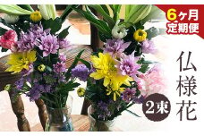 ★6ヶ月定期便★ 仏様花2束《お申込み月の翌月から出荷開始》椿原園 初回のみ 花瓶付き お花 花 お仏壇用 お供え