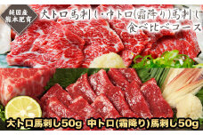 大トロ馬刺し・中トロ(霜降り)馬刺し食べ比べコース【純国産熊本肥育】大トロ馬刺し(50g)、中トロ(霜降り)馬刺し(50g)《30日以内に出荷予定(土日祝除く)》送料無料 ふるさと納税 st-p