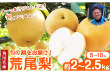 【先行予約】梨 目野果実直売所 荒尾梨 約2-2.5kg(5～10玉前後)  熊本県 荒尾市 産 和梨 なし フルーツ 果物 新鮮 《7月下旬-10月上旬頃出荷》 【日付指定不可】
