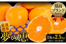 夢の恵 みかん 約2.5kg(20玉～30玉前後) 熊本県産 （荒尾市産含む） 糖度12度以上 熊本みかん 厳選みかん ブランドみかん 甘いみかん 贈答用みかん ブランド 贈答用 贈り物《11月上旬-12月末頃出荷》 熊本県 荒尾市