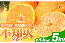 不知火 約4.5kg～5kg フレッシュフーズ 《2月下旬-4月下旬頃出荷》熊本県産(荒尾市産含む) 柑橘 フルーツ フレッシュフーズ 不知火 果物 デコポン と同品種 送料無料 果物 シラヌヒ シラヌイ 