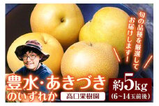 【2025年 先行予約】旬の梨 あきづき 豊水 のいずれかをお届けします！ 約5kg (6～14玉前後) 熊本県荒尾市産 髙口果樹園《2025年9月上旬-9月下旬頃出荷》フルーツ 果物 