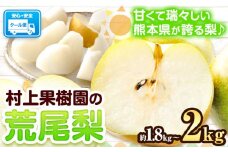 梨 なし 荒尾梨 約1.8～2kg 果物 和梨 村上果樹園 あきづき 甘太 秋麗 《8月上旬-10月上旬頃出荷》熊本県 荒尾市 2kg 前後 果物 期間限定 フルーツ 旬 荒尾市産 国産 冷蔵 ギフト 贈り物 お中元 送料無料