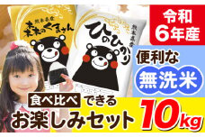 令和6年産 無洗米 ひのひかり 森のくまさん 2種 食べ比べ 米 10kg 《7-14日以内に出荷予定(土日祝除く)》 ヒノヒカリ お米 こめ 高レビュー  熊本県産（荒尾市産含む） 精米 荒尾市 森くま ブランド米 ご飯