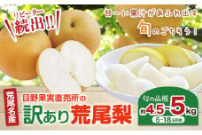 【先行予約】 訳あり 梨 荒尾梨 約4.5-5kg (6～18玉前後) 秋 旬 目野果実直売所《7月下旬-10月上旬頃出荷》熊本県 荒尾市産 なし フルーツ 果物 新鮮 愛甘水 幸水 秋麗 豊水 あきづき のいずれか 品種の指定不可 ご家庭用