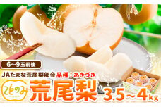 先行予約 梨 秀品 荒尾梨 新ブランド(愛称) 「ことのみ」 あきづき  約3.5～4kg フルーツ 果物 旬 贈答 ギフト 《9月上旬-9月中旬頃出荷》熊本県荒尾市産含む JAたまな荒尾梨部会