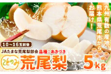先行予約 梨 秀品 荒尾梨 新ブランド(愛称) 「ことのみ」 あきづき 5kg フルーツ 果物 旬 贈答 ギフト 《9月上旬-9月中旬頃出荷》熊本県荒尾市産含む JAたまな荒尾梨部会