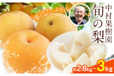梨 旬の梨 約 2.8kg ～ 3kg 豊水 あきづき のいずれか 旬 中村果樹園 《8月下旬-9月中旬頃出荷》熊本県 荒尾市 なし フルーツ 果物 新鮮 st-p