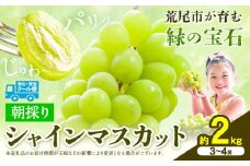 【先行予約】 マスカット シャインマスカット 朝採り シャインマスカット 約2kg 3～4房 前田果樹園《8月下旬-9月末頃出荷》熊本県 荒尾市 旬 果物 フルーツ デザート ふるーつ ますかっと しゃいんますかっと