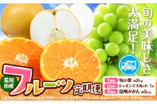 【3ヶ月定期便】 梨 シャインマスカット 温州みかん 荒尾市産 フルーツ定期便 フルーツ 果物 定期便 旬 《2025年8月上旬-10月下旬出荷予定》フレッシュフーズ 熊本県 荒尾市 フルーツ 果物 旬 梨 シャインマスカット 温州みかん みかん なし マスカット 定期 計3回お届け