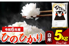 令和6年産 ひのひかり 白米 5kg 《7-14営業日以内に出荷予定(土日祝除く)》 5kg×1袋 熊本県産（荒尾市産含む） 米 精米 ひの
