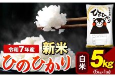 新米 令和7年産 ひのひかり 白米 5kg 《9月下旬-11月上旬頃出荷》 5kg×1袋 熊本県産（荒尾市産含む） 米 精米 ひの