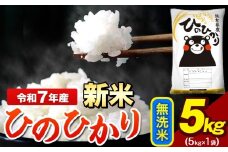 新米 令和7年産 ひのひかり 無洗米 5kg 《9月下旬-11月上旬頃出荷》 5kg×1袋 熊本県産（荒尾市産含む） 米 精米 ひの