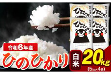 令和6年産  ひのひかり 白米 20kg 《7-14営業日以内に出荷予定(土日祝除く)》 5kg×4袋 熊本県産（荒尾市産含む） 米 精米 ひの
