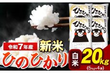 新米 令和7年産  ひのひかり 白米 20kg 《12月中旬-2月末頃出荷》 5kg×4袋 熊本県産（荒尾市産含む） 米 精米 ひの