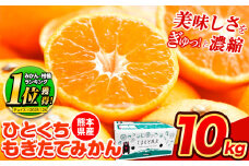 【2025年先行予約】訳あり みかん ひとくちもぎたてみかん 約 10kg (10kg×1箱) S-3Sサイズ 訳あり ご家庭用 熊本県産 （荒尾市産含む） 期間限定 フルーツ 果物 旬 冬 柑橘 小玉 みかん《2025年10月中旬-12月末頃出荷》