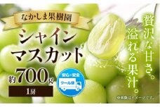 シャインマスカット 約700g （ 1房 ） マスカット ぶどう 葡萄 フルーツ 果物 旬 なかしま果樹園 《8月下旬-9月末頃出荷》 熊本県 荒尾市 ギフト