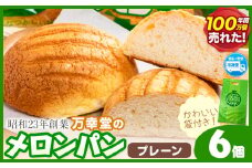 パン メロンパン 冷凍 プレーン 6個 セット 手土産 おすそ分け スイーツ パン ギフト 菓子パン 万幸堂 《60日以内に出荷予定(土日祝除く)》熊本県 荒尾市 送料無料 ベーカリー おやつ 個包装 給食 でおなじみ！