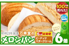 【6ヶ月定期便】パン メロンパン 冷凍 ピーナッツバタークリーム 6個 手土産 おすそ分け スイーツ パン ギフト 菓子パン 万幸堂 《お申し込み月の翌月から出荷開始》熊本県 荒尾市 送料無料 ベーカリー おやつ 個包装 給食 でおなじみ！