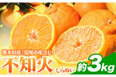 不知火 約3kg フレッシュフーズ 《2月下旬-4月下旬頃出荷》熊本県産 (荒尾市産含む) 柑橘 フルーツ フレッシュフーズ 不知火 果物 デコポン と同品種 送料無料 果物 しらぬい 旬 オレンジ みかん 