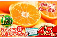 【2025年先行予約】訳あり みかん ひとくちもぎたてみかん 約 4.5kg (4.5kg×1箱) S-3Sサイズ 訳あり ご家庭用 熊本県産 （荒尾市産含む） 期間限定 フルーツ 果物 旬 冬 柑橘 小玉 みかん《2025年10月中旬-12月末頃出荷》