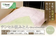 寝具 布団 グリーン 掛け布団 テンセル肌ふとん 高級 掛布団 《30日以内に出荷予定(土日祝除く)》 ダルマックス