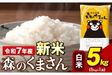 令和7年産 新米 森のくまさん 5kg × 1袋 白米 熊本県産 単一原料米 森くま《9月下旬-11月上旬頃出荷》送料無料