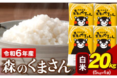 令和6年産  森のくまさん 20kg 5kg × 4袋  白米 熊本県産 単一原料米 森くま《7-14営業日以内に出荷予定(土日祝除く)》送料無料
