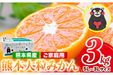 みかん 訳あり 大玉 大粒 ミカン 3kg 熊本 ちょっと 訳あり 傷 5L～3Lサイズ たっぷり 熊本県産(荒尾市産含む) 熊本県 期間限定 フルーツ 旬 柑橘 ご家庭用 荒尾市 大粒《2026年1月中旬-2月末頃出荷》果物