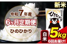 新米 令和7年産 【6ヶ月定期便】 ひのひかり 白米 5kg 5kg×1袋 計6回お届け 熊本県産 こめ コメ 白米 精米 荒尾市 ひの 米 定期 《お申込み月の翌月から出荷開始》